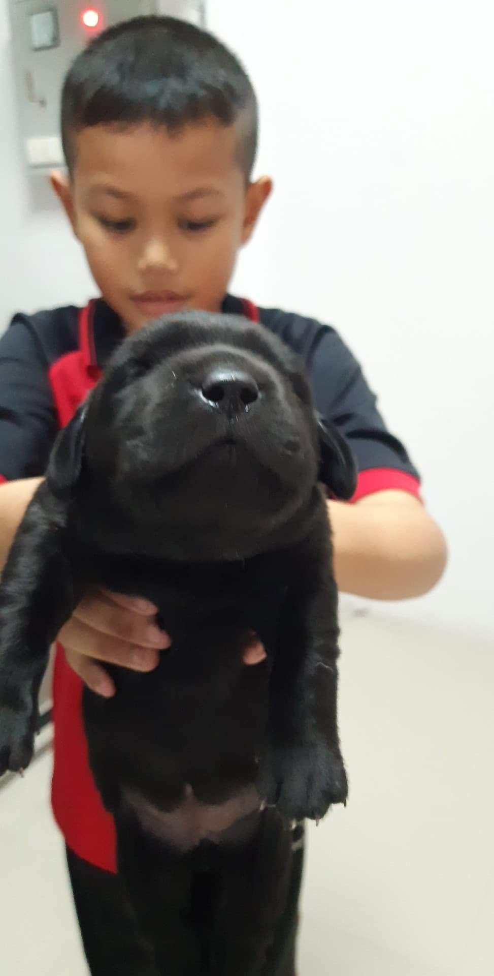 น้องลาบ....ลูกแม่อัง