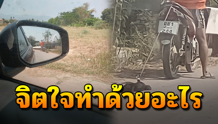 จิตใจทำด้วยอะไร หลังพบกับเหตุการณ์หนุ่มขี่รถลากแมวไปตามพื้นทั้งๆไม่ได้ทำอะไร
