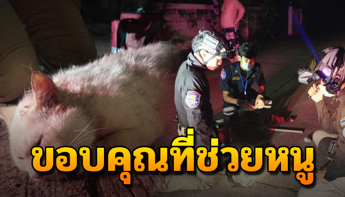 ถูกเขาฟัดนอนหายใจรวยรินอยู่กลางถนน แต่ก็ต้องฝืนทนโชคดีจน.มาช่วยไว้