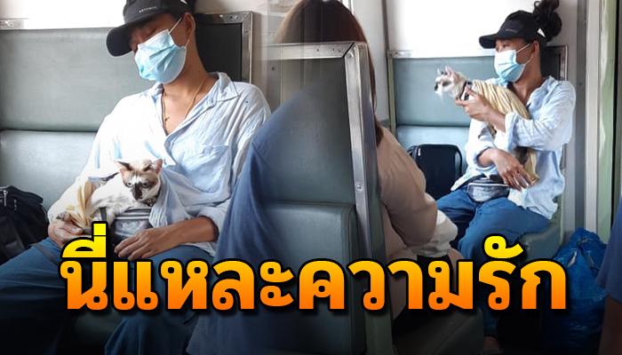 อดยิ้มไม่ไหว นั่งรถไฟมาลงสายใต้ระหว่างทางกลับบ้าน ยังนั่งเฝ้ามองตลอดทาง