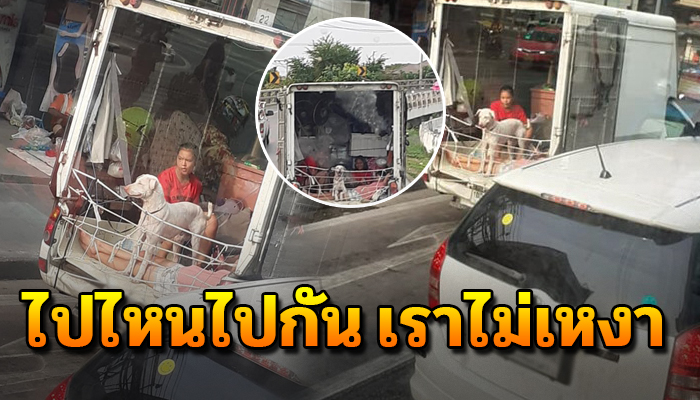 เห็นแล้วยิ้มไม่หุุบสุขใจเหลือเกิน หลังพบเห็นเจ้าตูบยิ้มย้ายบ้านกับครอบครัว
