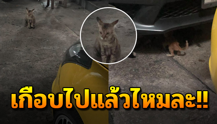 ยืนหน้าบึ้งขวางรถไม่ยอมให้กลับ กุมขมับที่ทำหน้าบึ้งเพราะลูกน้อยอยู่ใต้รถ