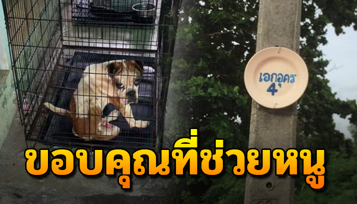 เจ้าตูบถูกขังเอาไว้ให้อยู่แต่ในกรง ไม่มีน้ำสักหยด หิวแค่ไหนก็ต้องอดทน