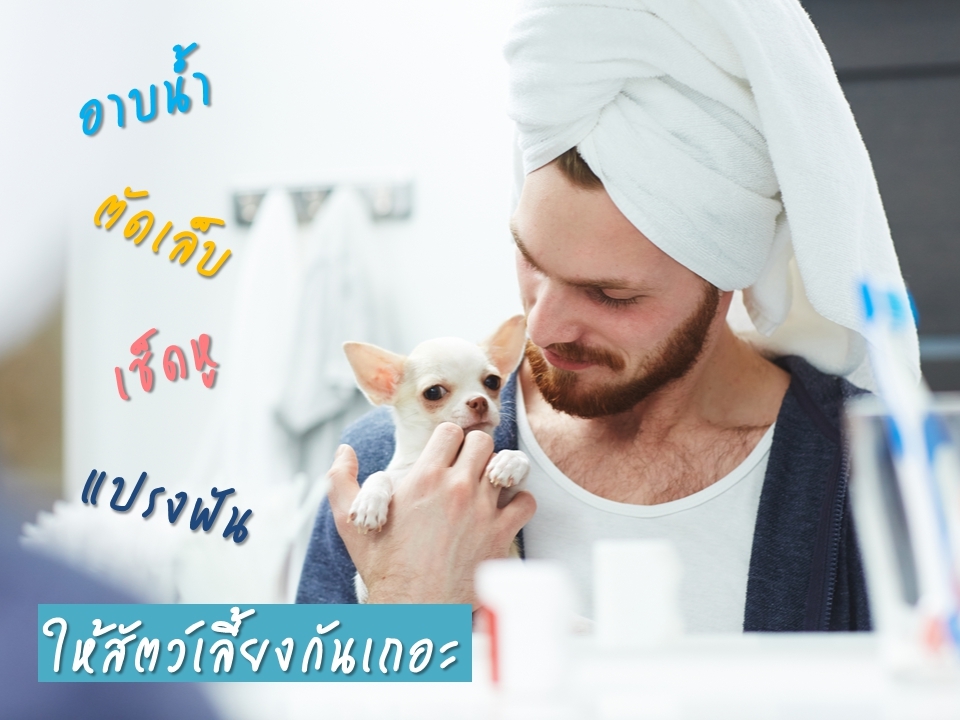 อาบน้ำ ตัดเล็บ เช็ดหู แปรงฟัน ให้แมวกันเถอะ !