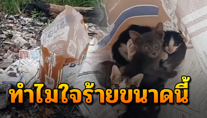 ถูกเขาเอาใส่กระสอบมัดปากมาทิ้งกองขยะ เพราะคิดว่าเป็นภาระ
