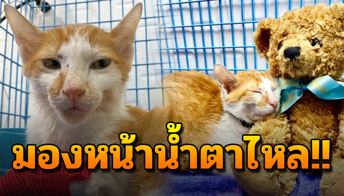 ระหว่างการรักษาไม่เคยเจอเคสทำให้ร้องไห้ตลอด แม้จะทำงานมานานช่วยมาก็เยอะ