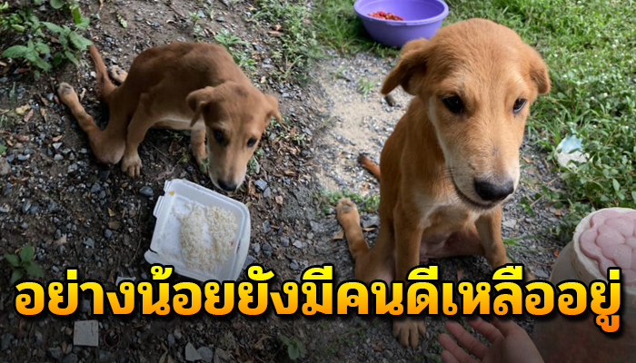 อย่างน้อยยังมีคนดีเหลืออยู่ แม้ตัวเองจะไม่ได้ทำ แต่ยังหยิบยื่นมือเข้ามาช่วย
