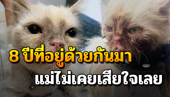 สุดซึ้ง 8 ปีไม่เคยเสียใจที่อยู่ด้วยกันมา แม้แม่จะต้องป้อนข้าวน้องวันละชั่วโมง