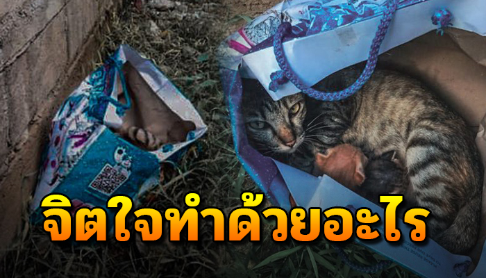 ความเห็นแก่ตัวของใครบางคน อาจส่งผลให้คนอื่นต้องลำบาก