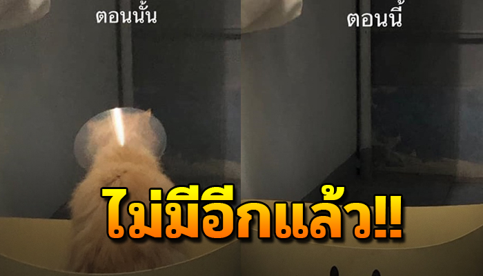 เล่าทั้งน้ำตา  ต้องสูญเสียน้องไปในวัย14ปี แม้จะยื้อสุดชีวิต