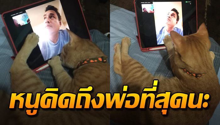 คอยเอามือเขี่ยหลังคอลหาพ่อให้ คิดถึงพ่อมาก ไม่ยอมนอนเป็นห่วงเป็นใยไม่ได้เจอหน้า