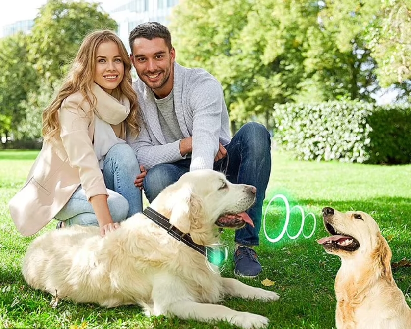 ปลอกคอกันเห่า! ไอเทมช่วยให้ตูบไม่ส่งเสียงรบกวน