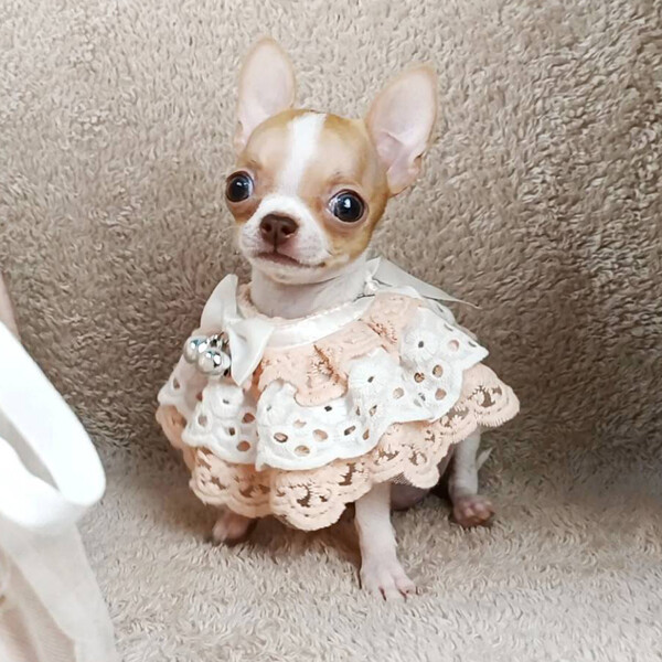 🐶Miss.Teya ชิลชิล