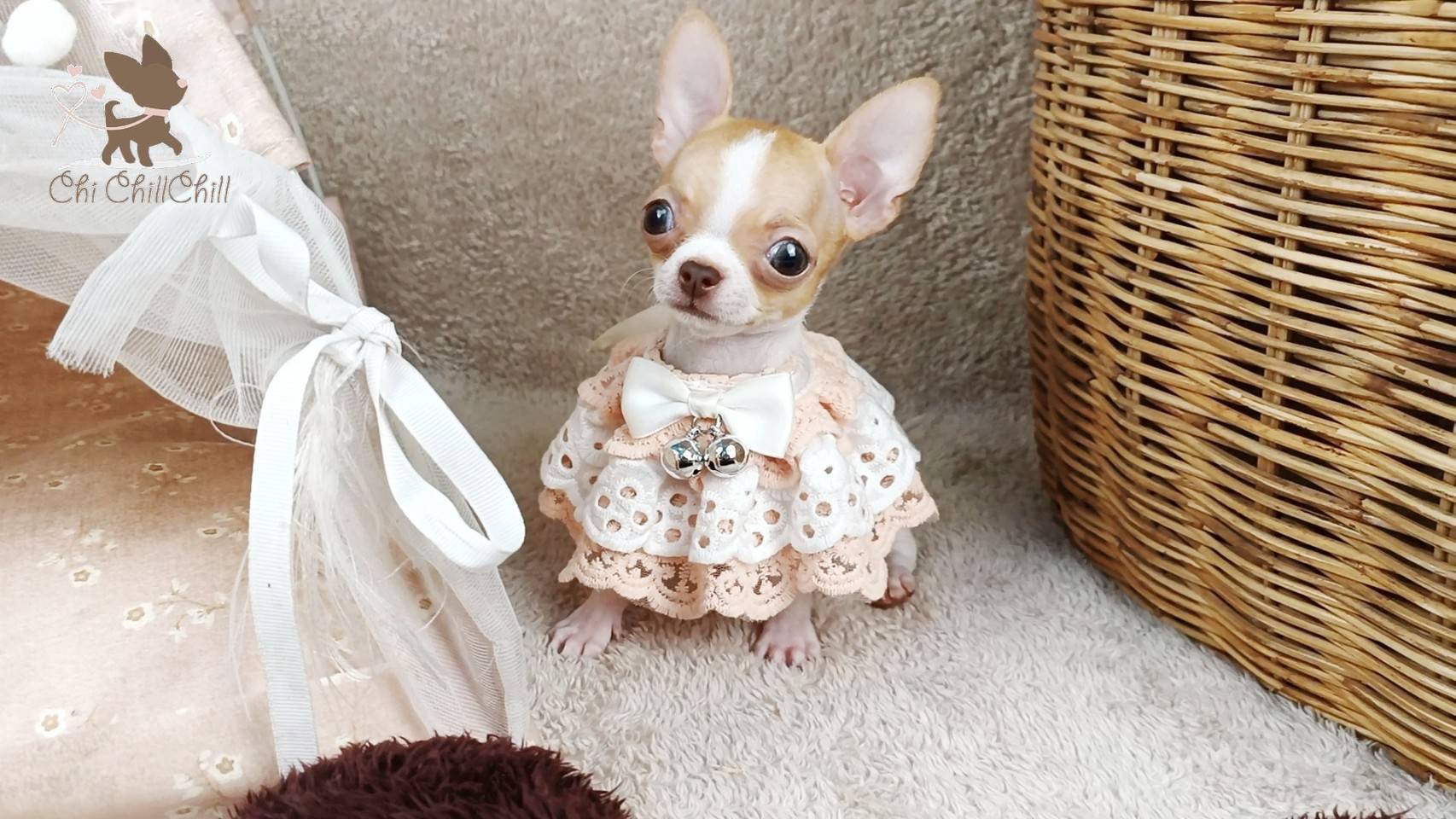 🐶Miss.Teya ชิลชิล